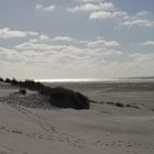 Midsland aan Zee