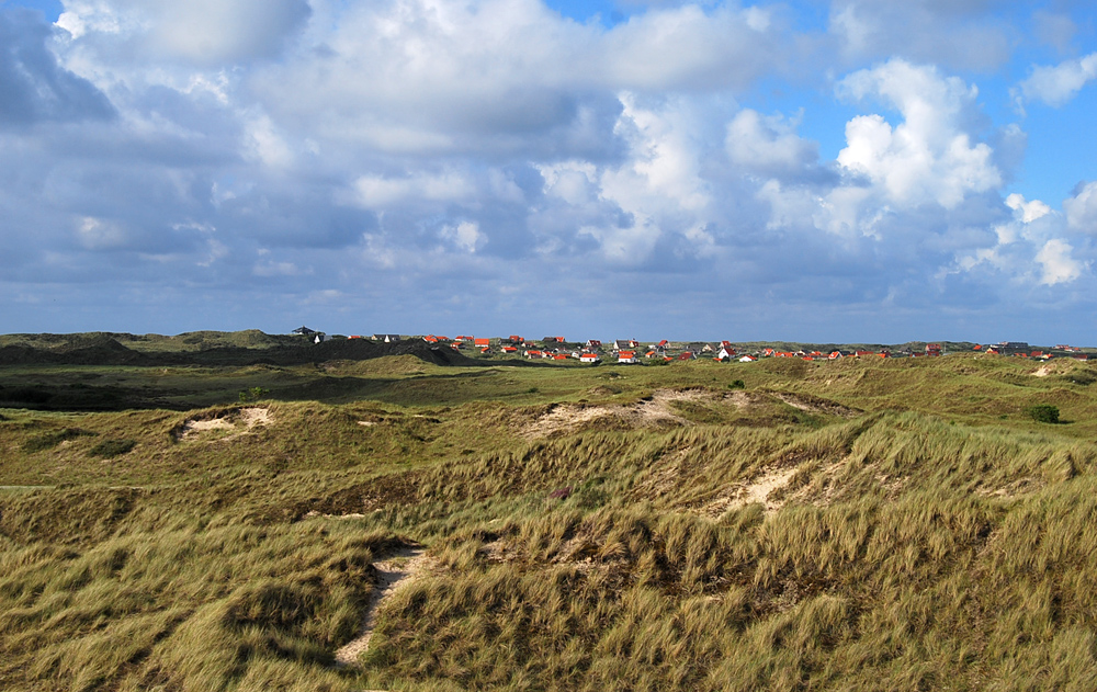 Midsland aan Zee