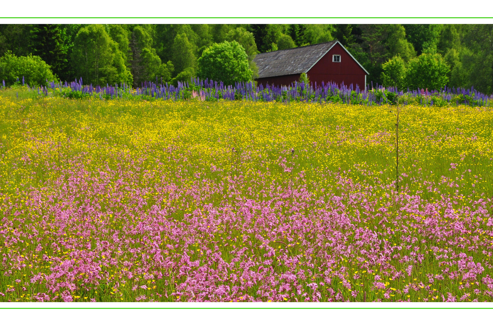 - Midsommar 2 -