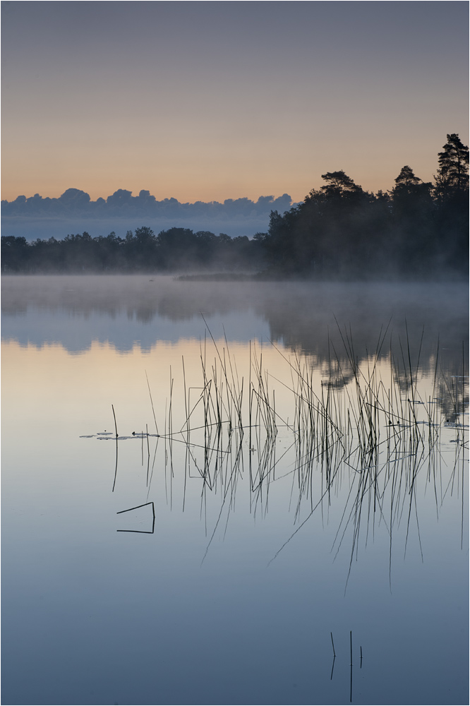 Midsommarmorgen am See...