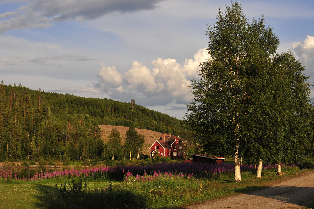 Midsommer