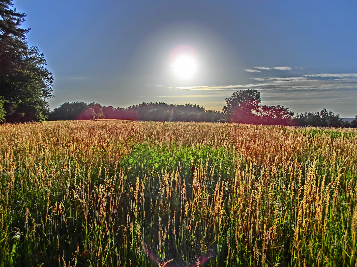 Midsommersonne