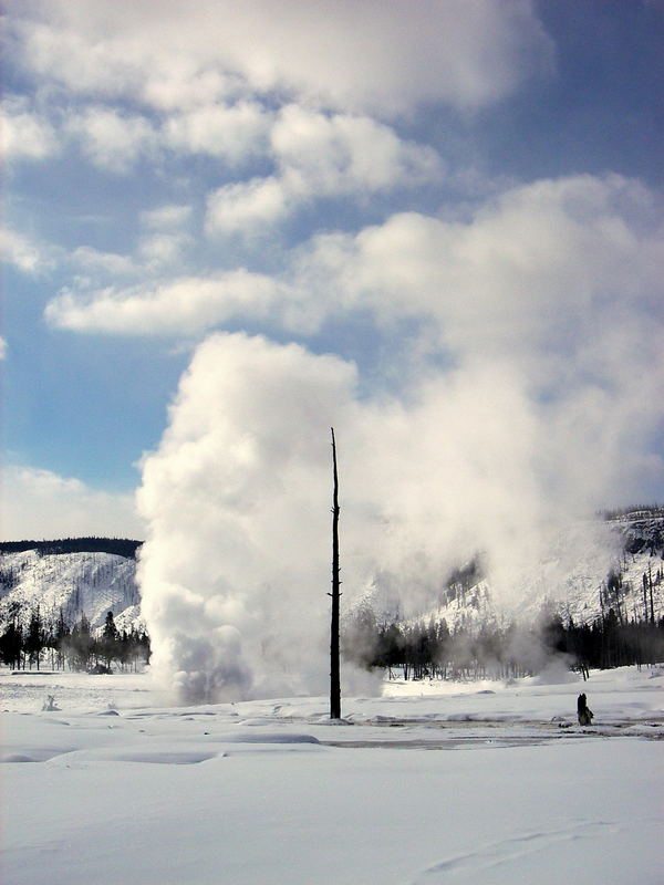 Midway Geyser