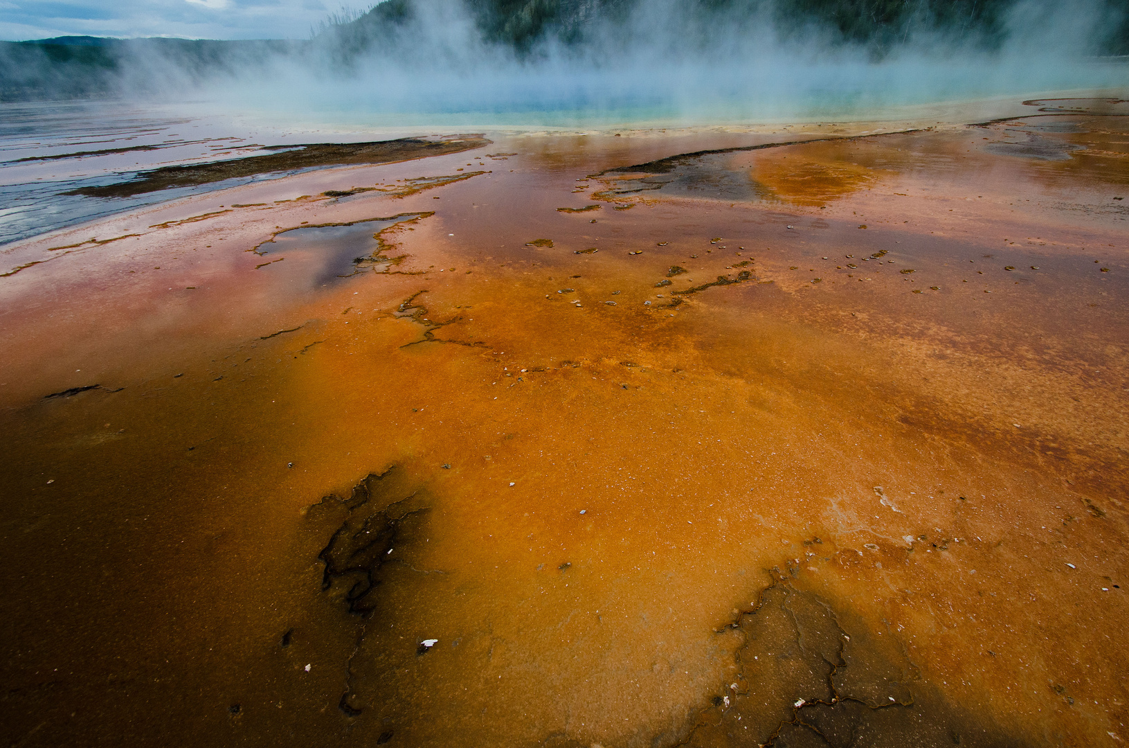 Midway Geyser Basin (1)