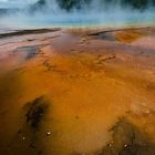 Midway Geyser Basin (1)