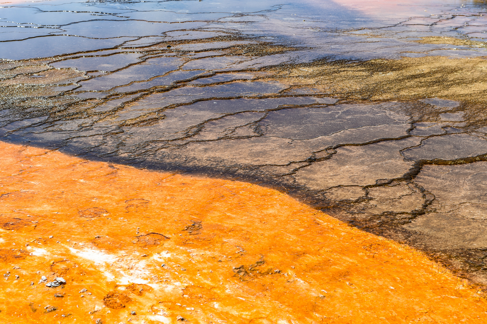 Midway Geyser Basin ii     DSC_3965-2