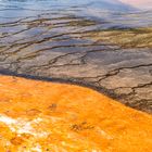 Midway Geyser Basin ii     DSC_3965-2