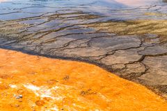 Midway Geyser Basin ii     DSC_3965-2