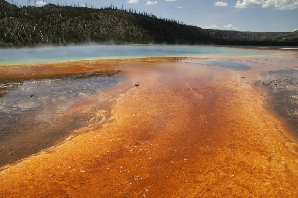 Midway geyser bassin dansle park du Yellowstone (Wyoming)