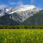 Mieminger Plateau - Tirol