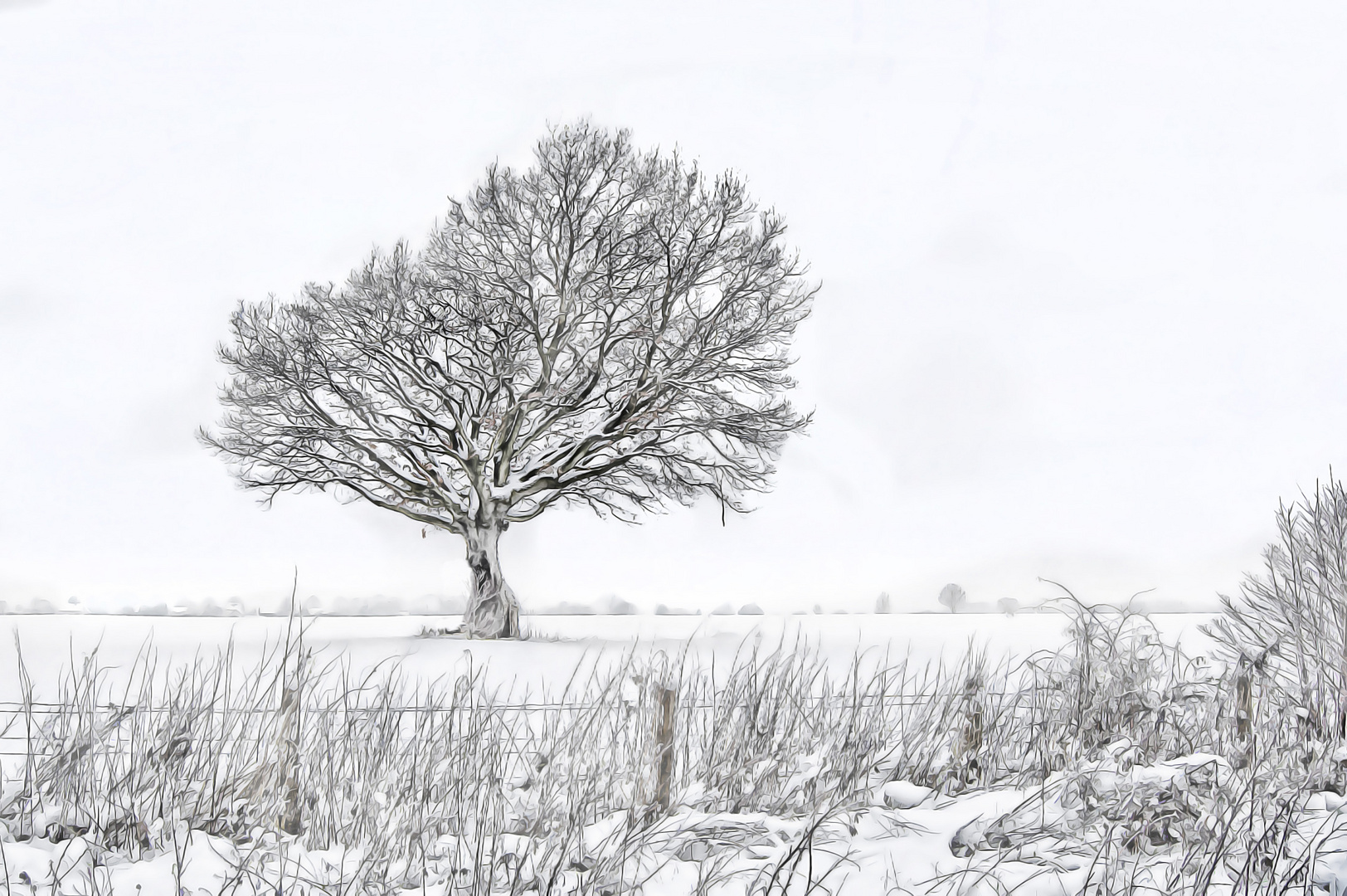 Mien Freund der Baum