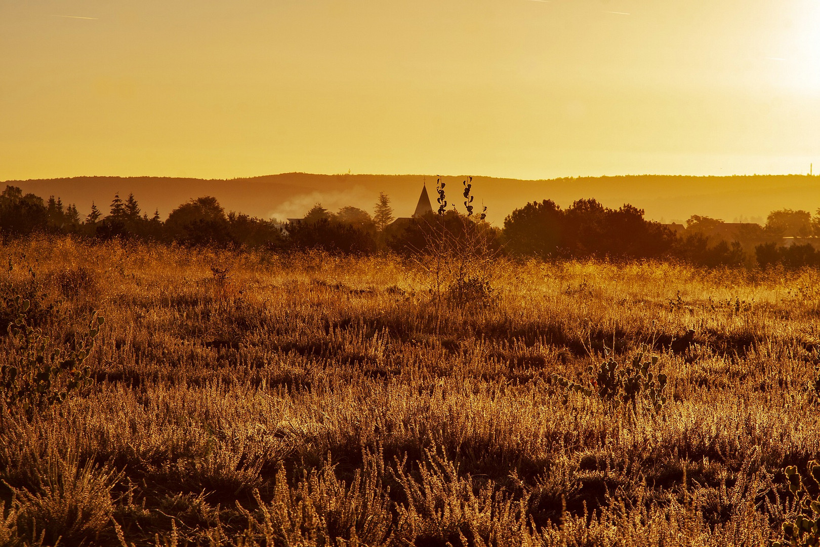 Miesenbacher Heide-Erste Sonnenstrahlen 1