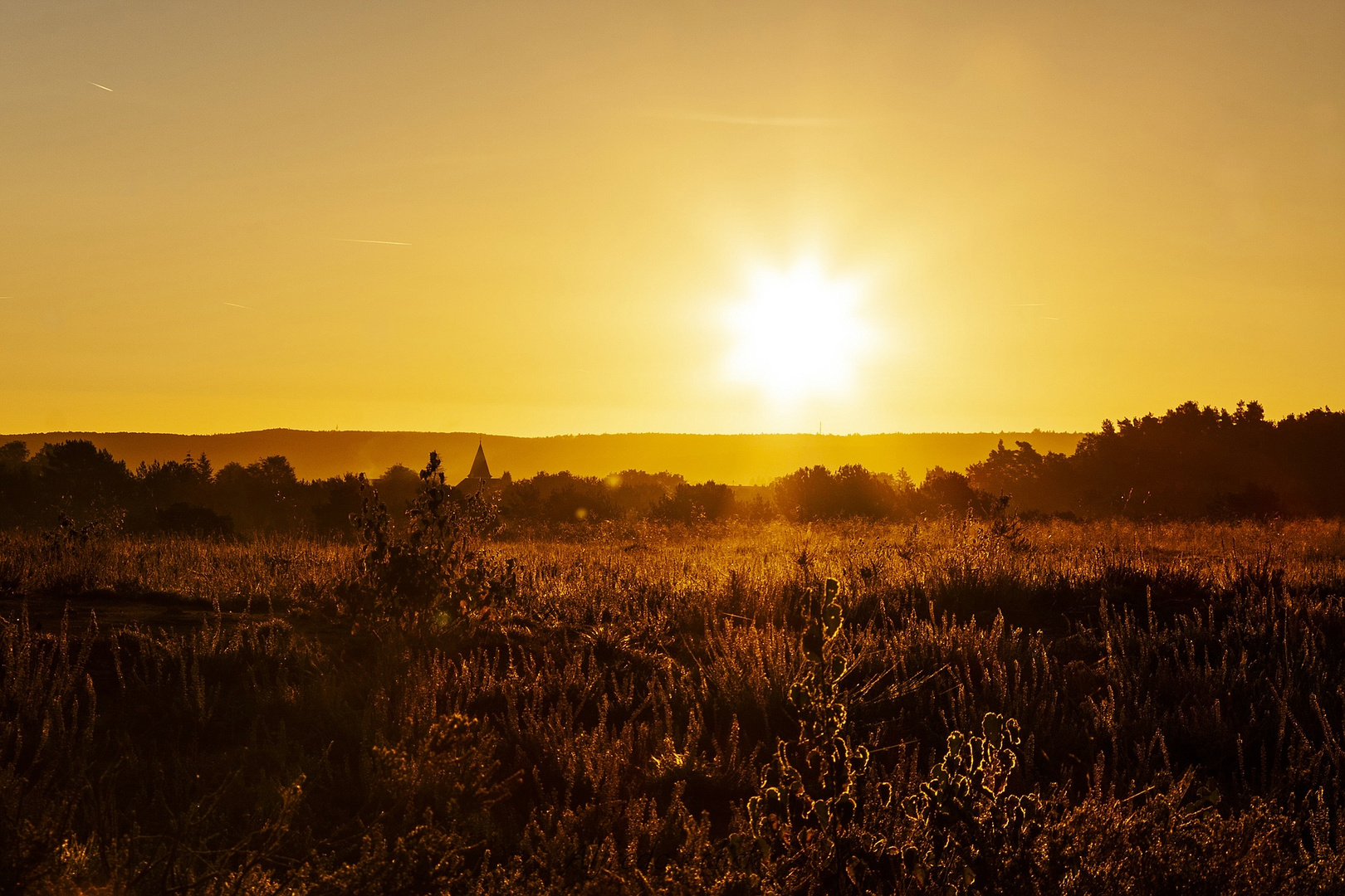 Miesenbacher Heide-Erste Sonnenstrahlen 3