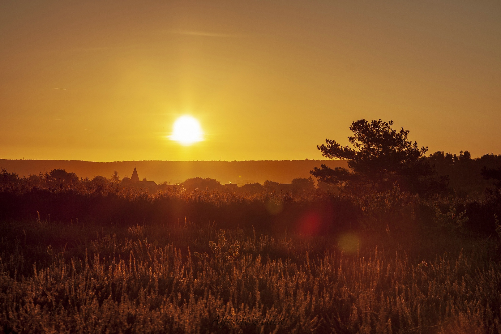 Miesenbacher Heide-Erste Sonnenstrahlen 4