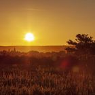 Miesenbacher Heide-Erste Sonnenstrahlen 4