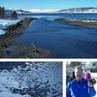 Miesmuschelbänke bei Harstad