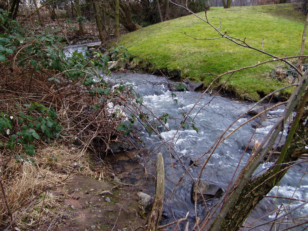 Mieten in Hanau