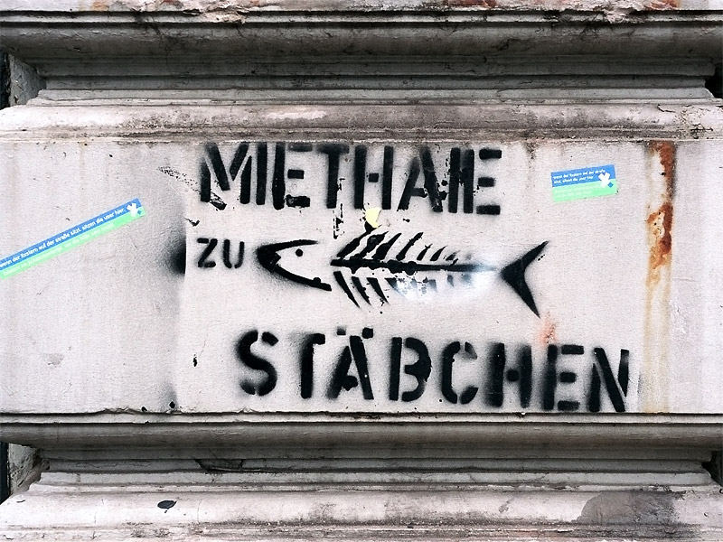 Miethaie zu Fischstäbchen