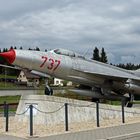 MIG 21 - F13 