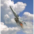 MiG-21 Fishbed