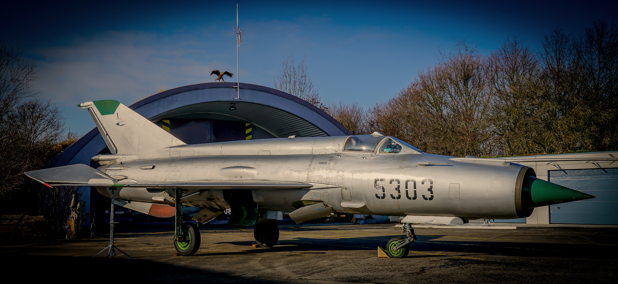 Mig 21 Jet