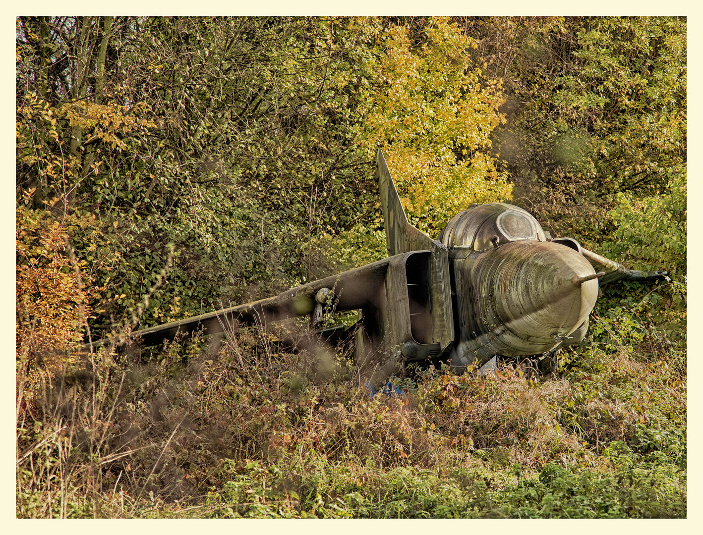 MiG-23 "Flogger" im Garten