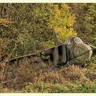 MiG-23 "Flogger" im Garten