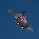 MIG 29