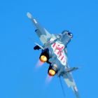 MIG 29