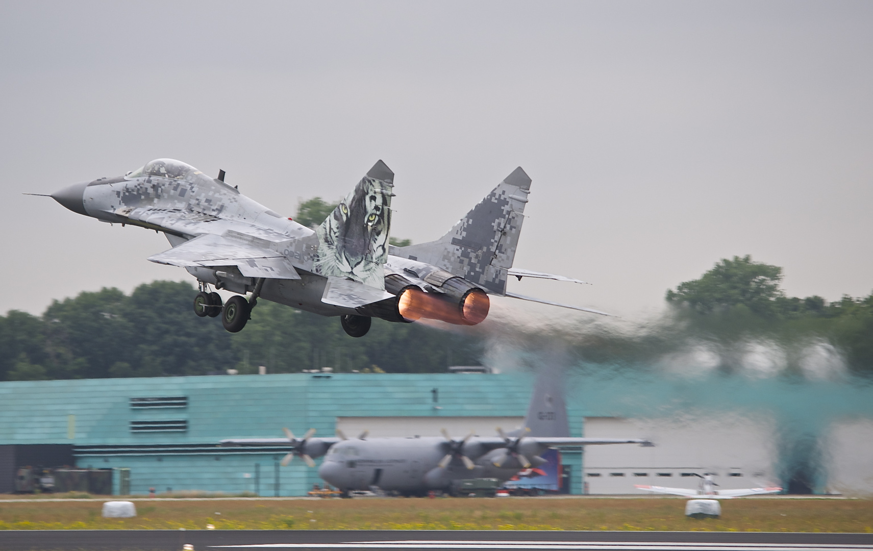 MIG 29