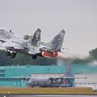 MIG 29