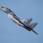 MIG 29