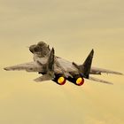 MIG-29 AS / 0921