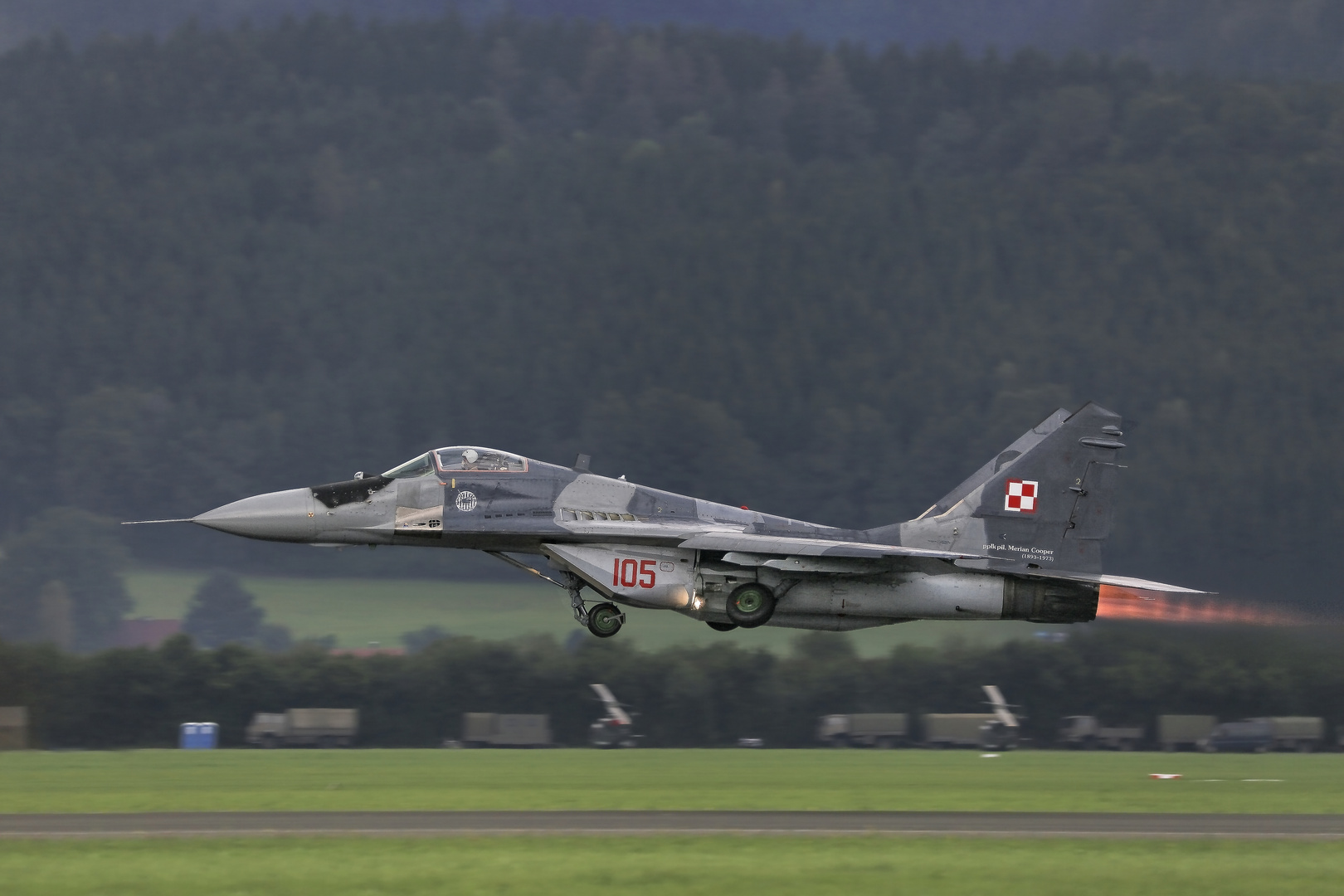 Mig 29 aus Polen 