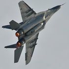 Mig 29 Beautyshot #1