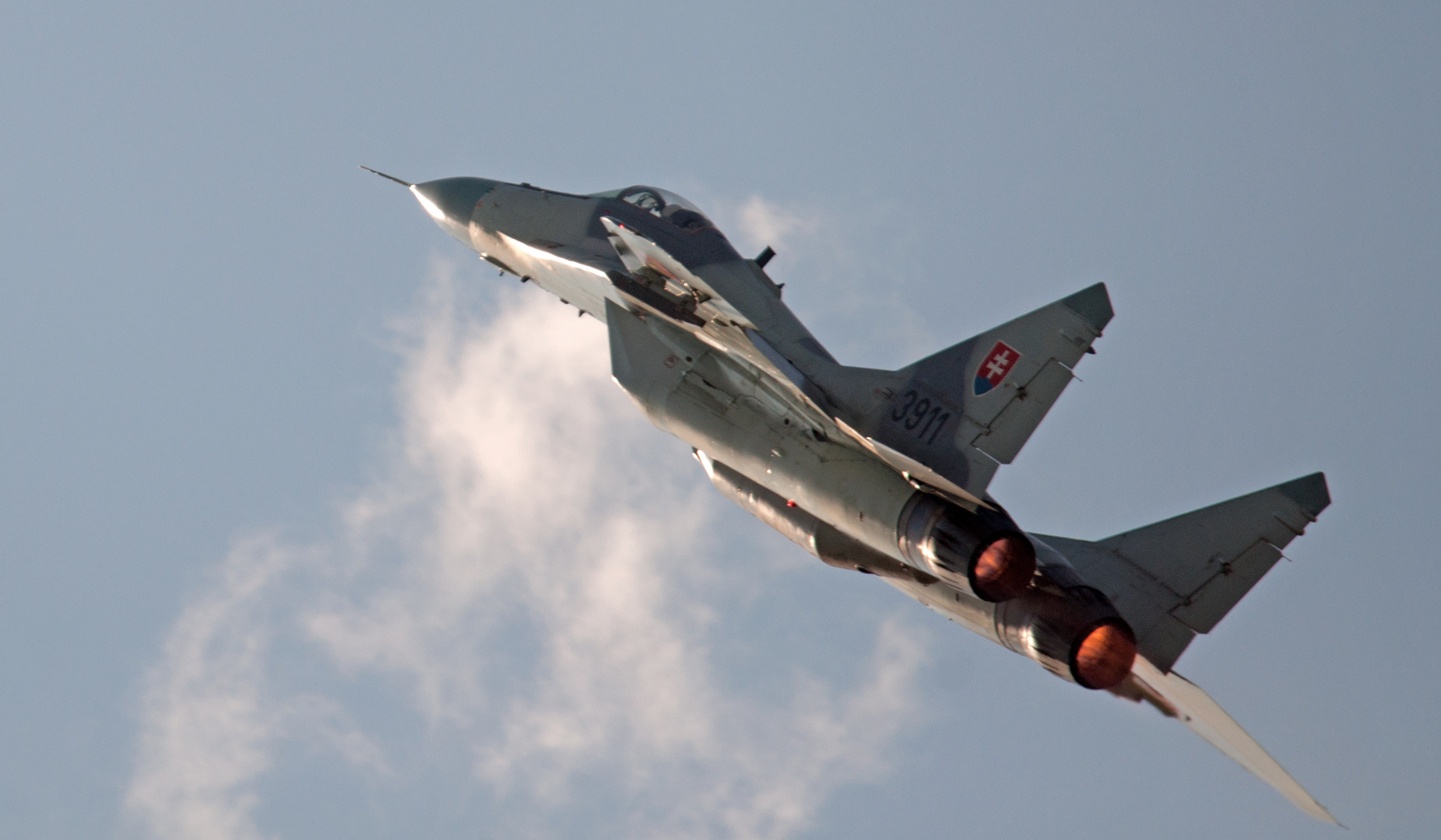 Mig 29