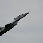 MiG-29 Fulcrum ..