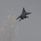 MiG-29 Fulcrum ....