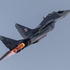 MIG 29 Fulcrum