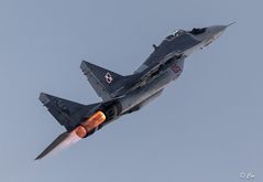 MIG 29 Fulcrum