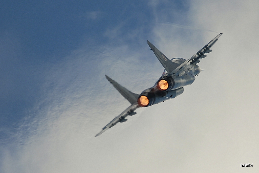 MiG-29 UB :)