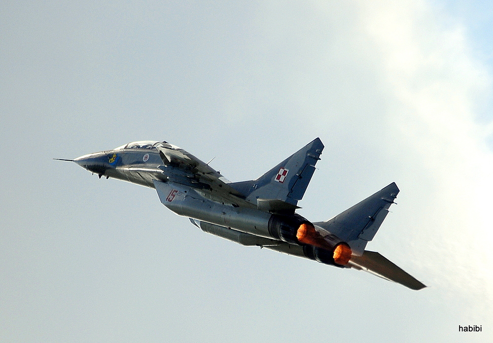 ***MIG 29 UB***