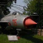 MIG