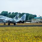 MIG29 SK