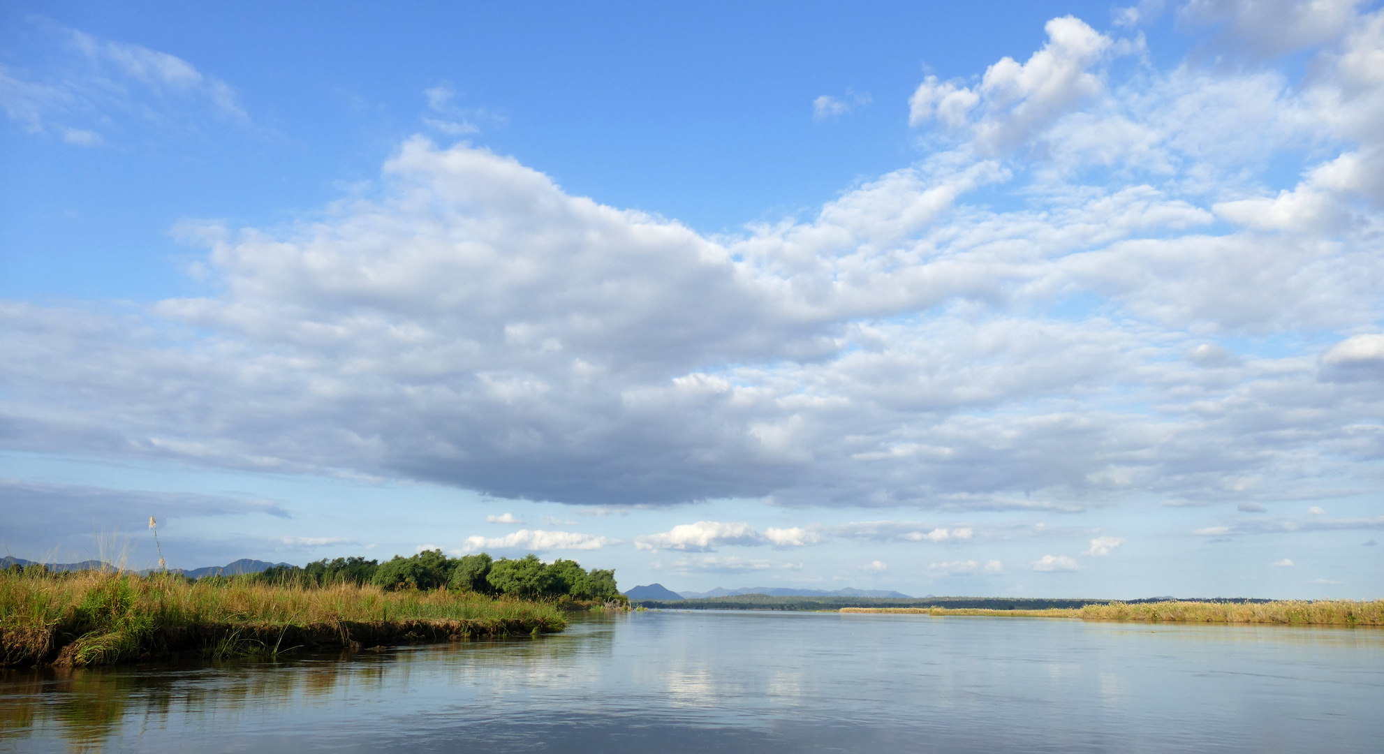 Mighty Zambezi