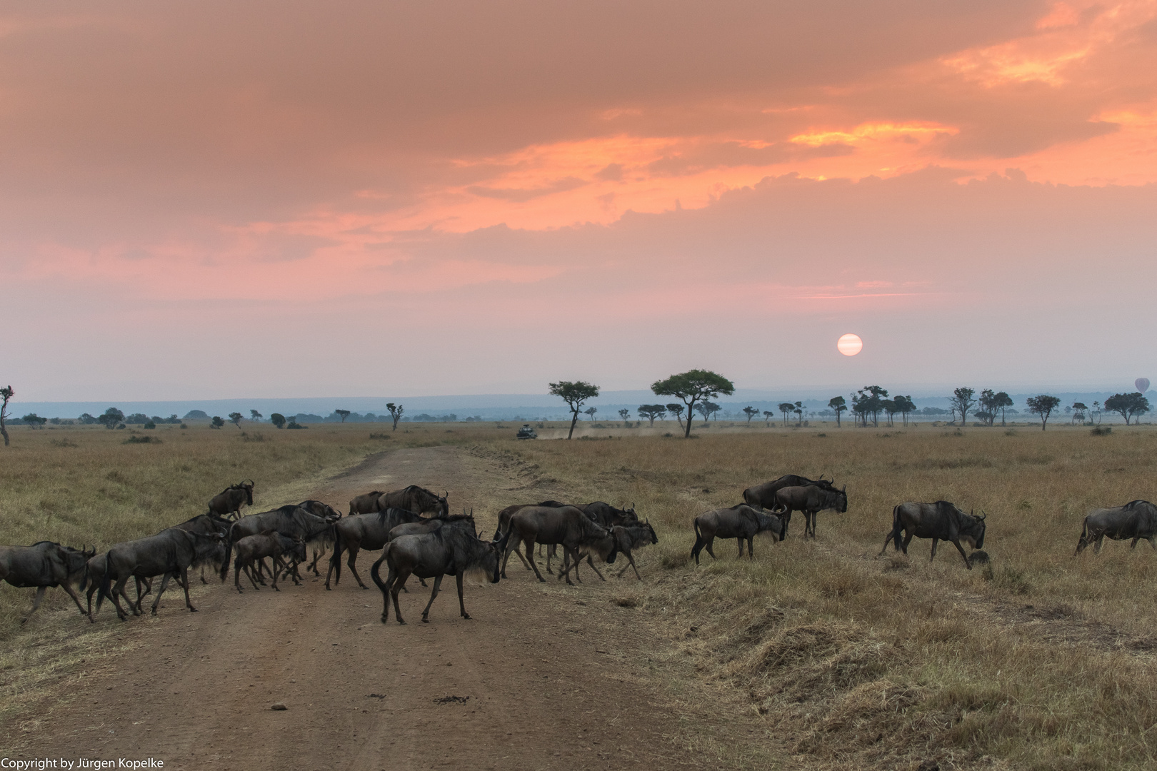 Migration, Masai Mara IX