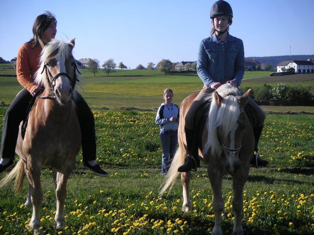 Mikado und ich beim Ausreiten ( Rechtes Pferd am Bild)