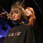 Mike Karg - Hairstyling