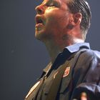 Mike Ness [Social Distortion]
