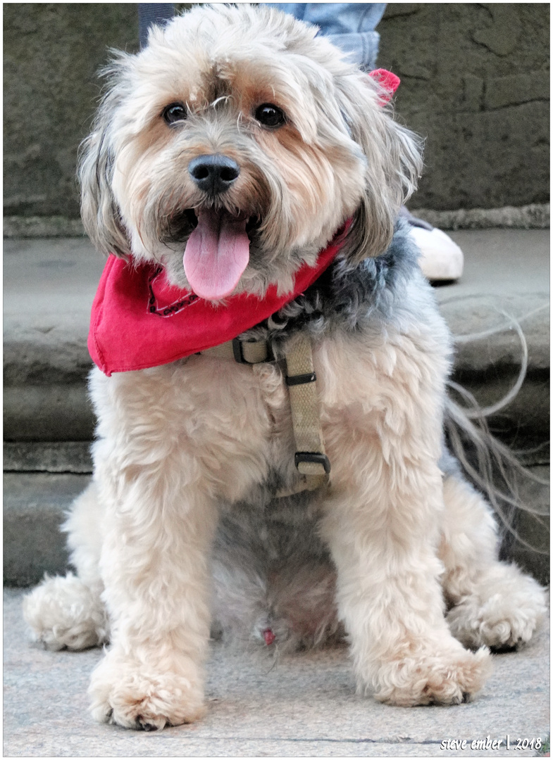 Mikey - People Watching in Central Park 